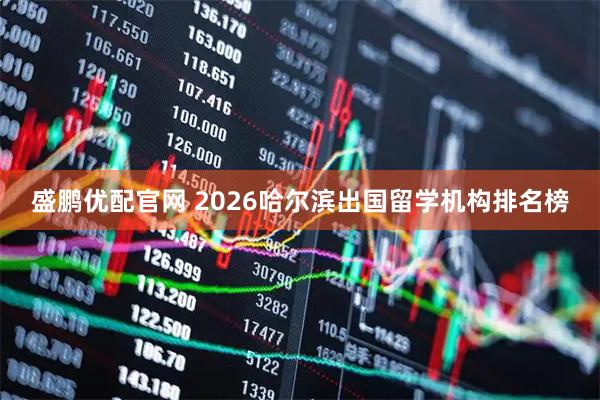 盛鹏优配官网 2026哈尔滨出国留学机构排名榜