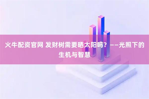火牛配资官网 发财树需要晒太阳吗？——光照下的生机与智慧