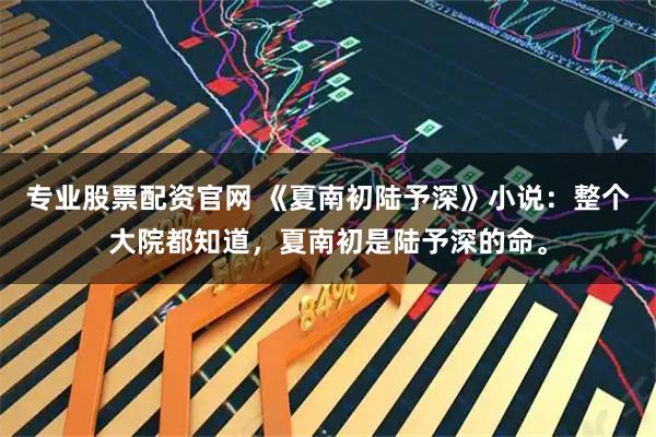 专业股票配资官网 《夏南初陆予深》小说：整个大院都知道，夏南初是陆予深的命。
