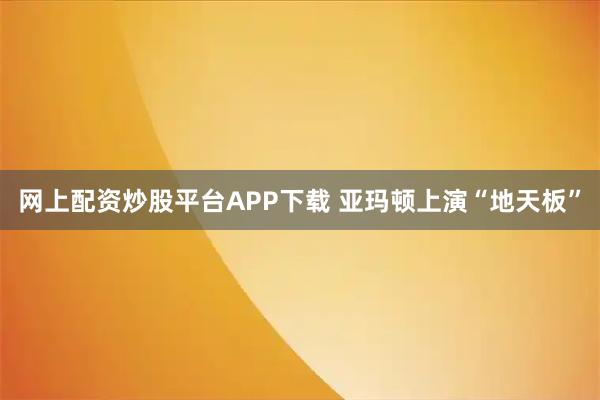 网上配资炒股平台APP下载 亚玛顿上演“地天板”