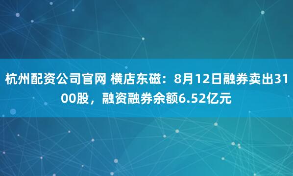 杭州配资公司官网 横店东磁：8月12日融券卖出3100股，融资融券余额6.52亿元
