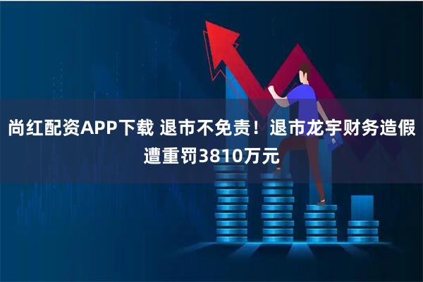 尚红配资APP下载 退市不免责！退市龙宇财务造假遭重罚3810万元